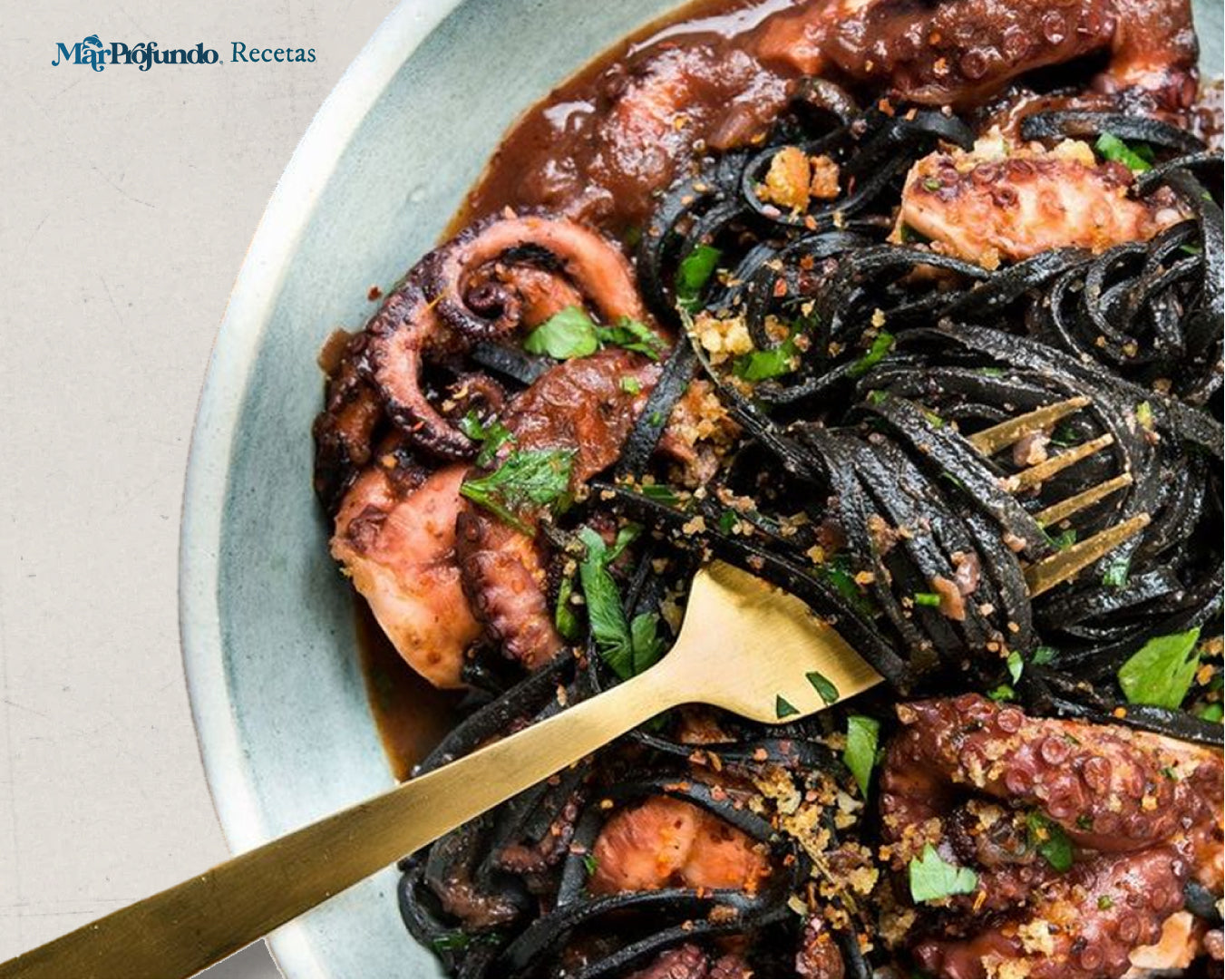 Spaghetti Nero con Calamar en Salsa de Vino