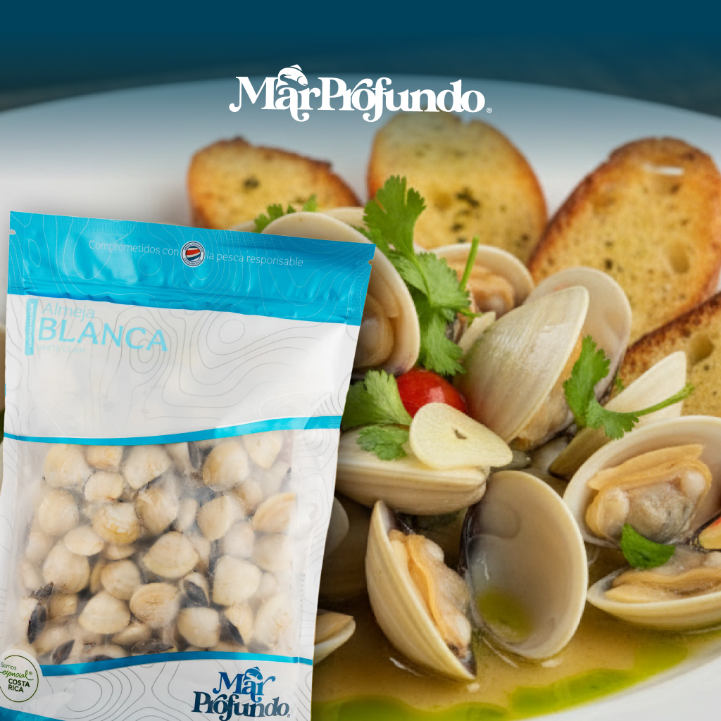 ALMEJA BLANCA