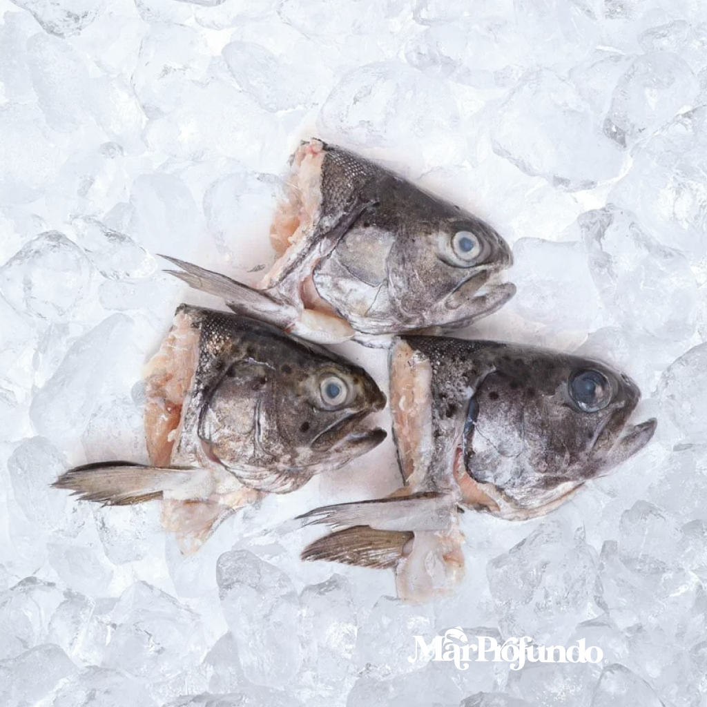 CABEZAS DE PESCADO