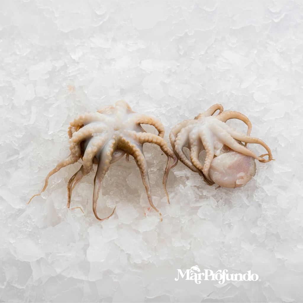PULPO BABY