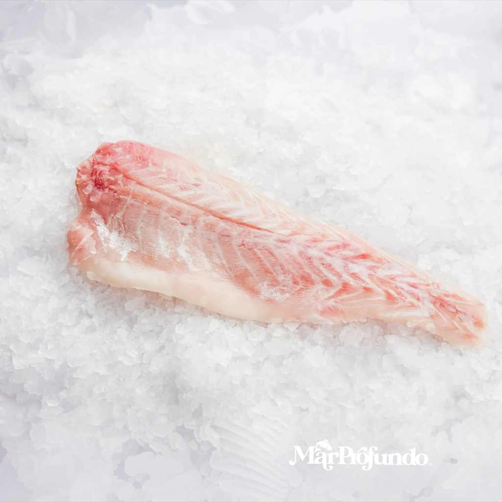 LOJA DE CORVINA REINA