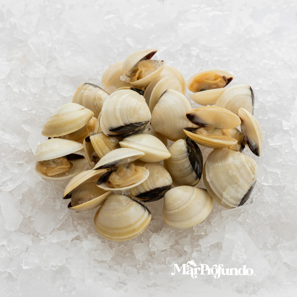 ALMEJA BLANCA