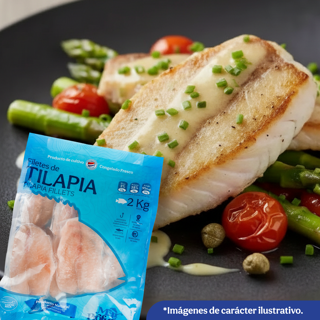 TILAPIA FILETE CONGELADA (origen panameño)